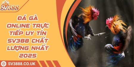 Đá Gà Online Trực Tiếp Uy Tín SV388 Chất Lượng Nhất 2025