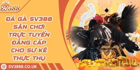 Đá Gà SV388 Sân Chơi Trực Tuyến Đẳng Cấp Cho Sư Kê Thực Thụ