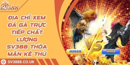 Địa Chỉ Xem Đá Gà Trực Tiếp Chất Lượng SV388 Thỏa Mãn Kê Thủ