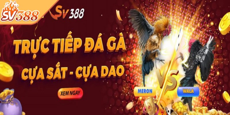 Giới thiệu 1 Giới thiệu về nhà cái SV388 là thông tin được đông đảo bet thủ quan tâm
