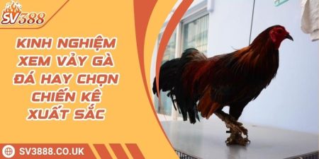 Kinh Nghiệm Xem Vảy Gà Đá Hay Chọn Chiến Kê Xuất Sắc 8 Kinh Nghiệm Xem Vảy Gà Đá Hay Chọn Chiến Kê Xuất Sắc