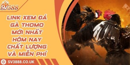 Link Xem Đá Gà Thomo Mới Nhất Hôm Nay Chất Lượng Và Miễn Phí