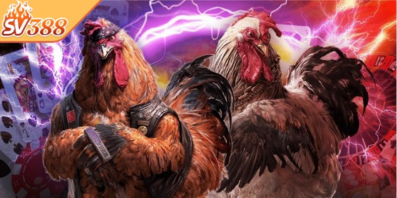 Mọi vấn đề thắc mắc của hội viên khi truy cập đều được SV388 giải đáp cụ thể