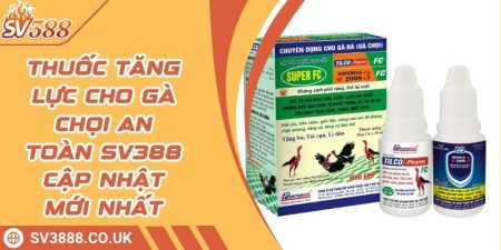 Thuốc Tăng Lực Cho Gà Chọi An Toàn SV388 Cập Nhật Mới Nhất 10 Thuốc Tăng Lực Cho Gà Chọi An Toàn SV388 Cập Nhật Mới Nhất