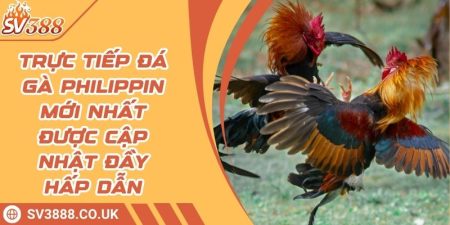 Trực Tiếp Đá Gà Philippin Mới Nhất Được Cập Nhật Đầy Hấp Dẫn