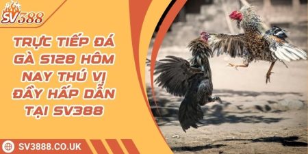 Trực Tiếp Đá Gà S128 Hôm Nay Thú Vị Đầy Hấp Dẫn Tại SV388