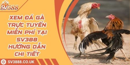 Xem Đá Gà Trực Tuyến Miễn Phí Tại SV388 Hướng Dẫn Chi Tiết